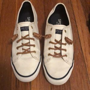 Sperry “seacoast canva” sneaker
